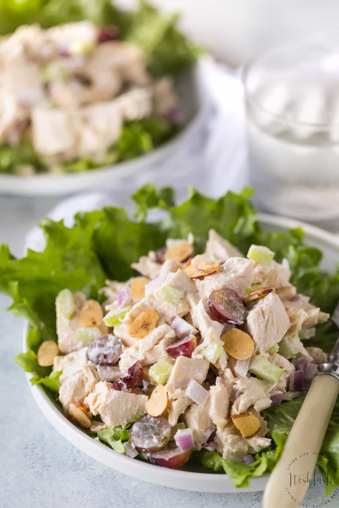 This easy Southern Chicken Salad is a classic American recipe you’ll love! gluten free, low carb, healthy, paleo and Whole30 compliant