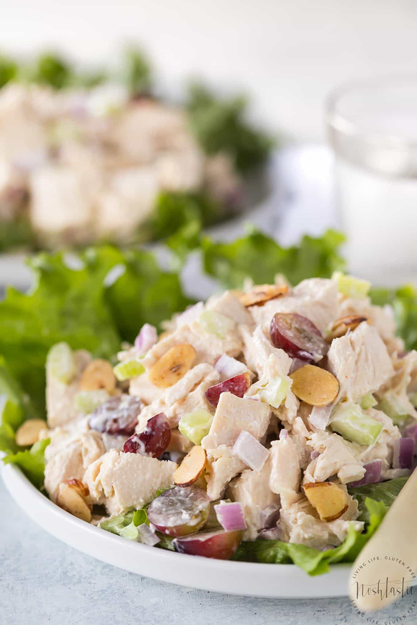 This easy Southern Chicken Salad is a classic American recipe you’ll love! gluten free, low carb, healthy, paleo and Whole30 compliant