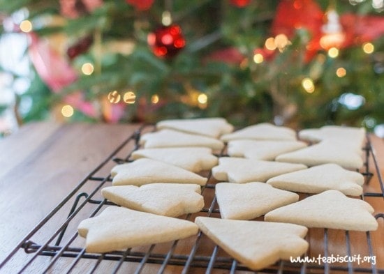 Look no further for a perfect gluten and dairy free cut out cookie recipe! from teabiscuit.org