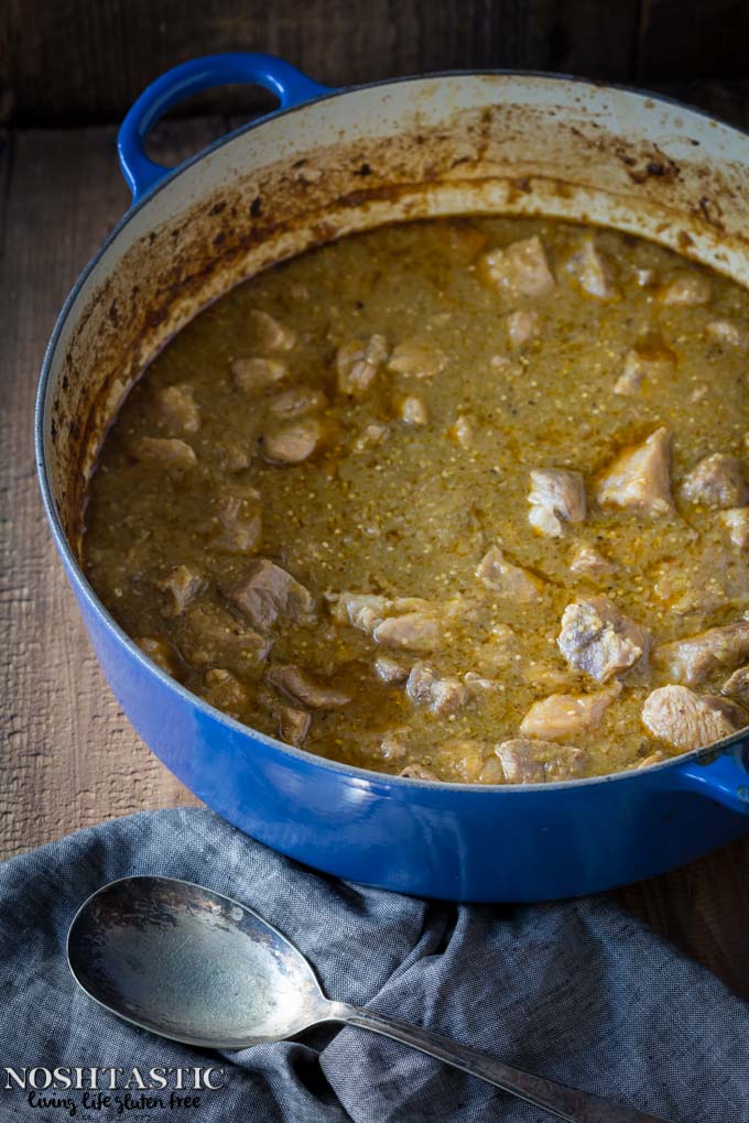 Easy Chili Verde recipe with roasted tomatillos, garlic, onion, and tender pieces of pork that melt in your mouth! Gluten Free, Paleo, Whole30