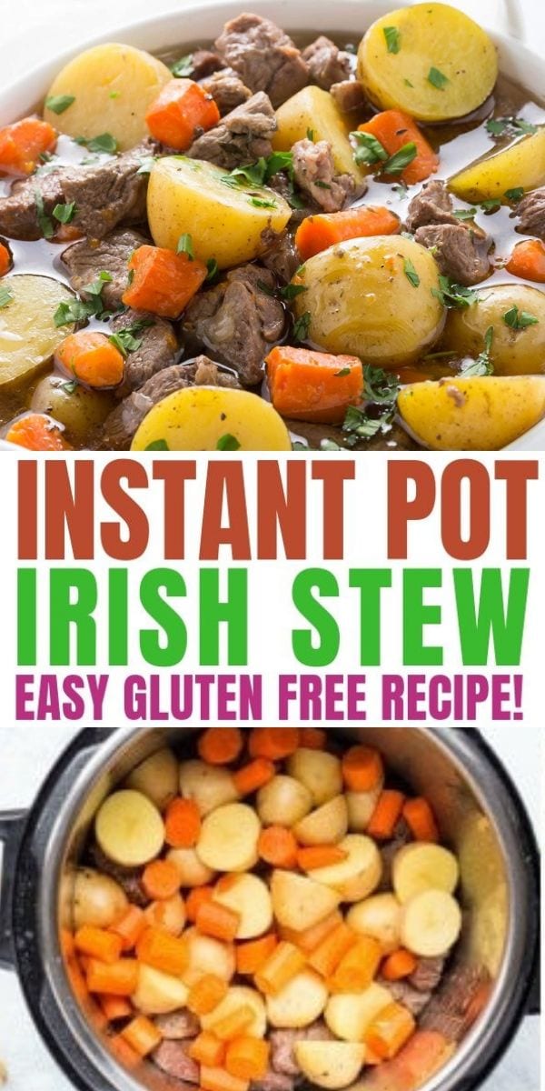 Pressure Cooker Irish Stew gluten free, paleo, w30