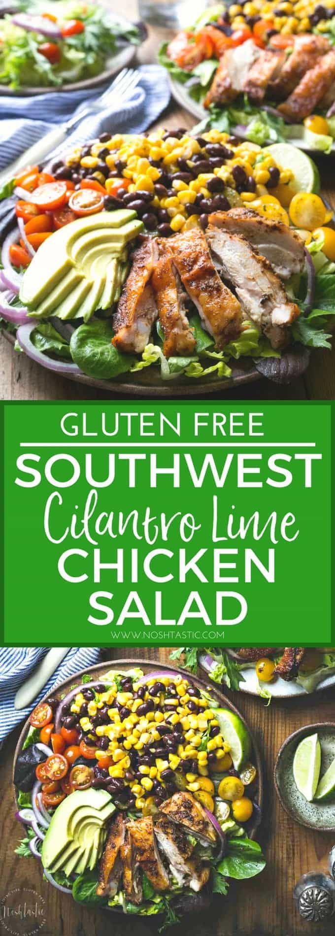 Southwest Chicken Salad with Cilantro Lime Dressing ...