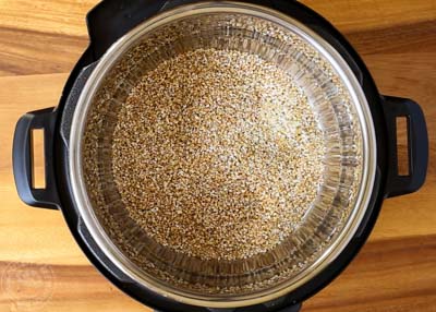 Overhead view of steel cut oats in a pressure cooker