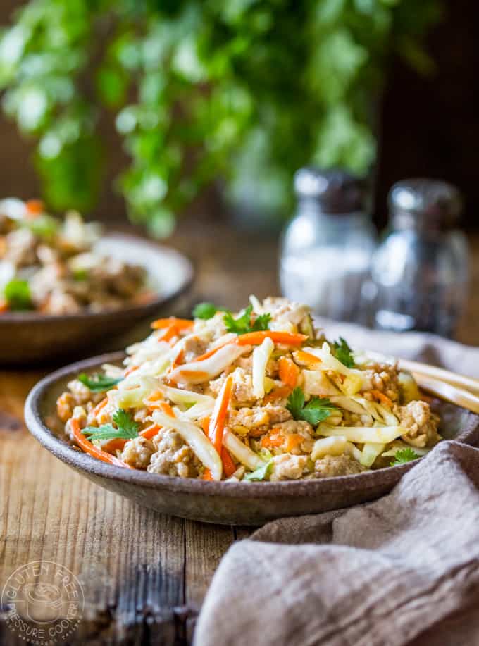 Instant Pot Egg Roll in a Bowl-image