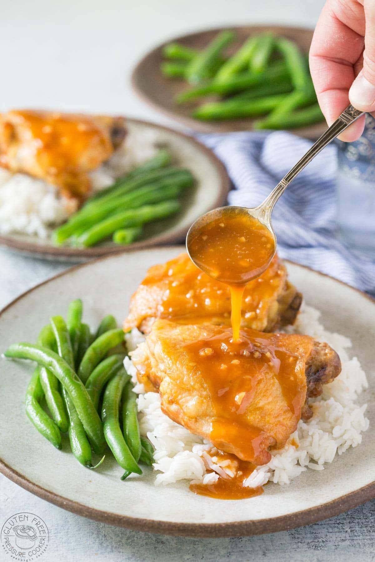 Instant Pot Honey Garlic Chicken. Tender delicious chicken thighs with a rich tasty honey garlic sauce you'll love! Easy Pressure Cooker Chicken Recipe. | www.noshtastic.com | #honeygarlicchicken #instantpothoneygarlicchicken #instantpotchicken #pressurecookerchicken #instantpot #instapot #electricpressurecooker #glutenfreepressurecooker #glutenfreeinstantpot #glutenfree 