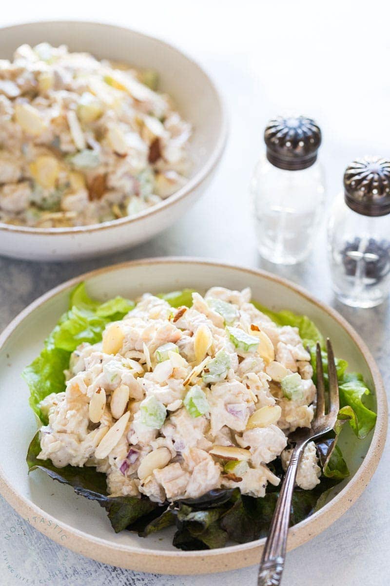 Easy Low Carb Chicken Salad Recipe you'll love! | www.noshtastic.com | #chickensalad #lowcarbchickensalad #glutenfreechickensalad #paleochickensalad #whole30chickensalad #paleochicken #healthysalad #w30salad #whole30 #whole30chicken #glutenfree #noshtastic #glutenfreerecipe 