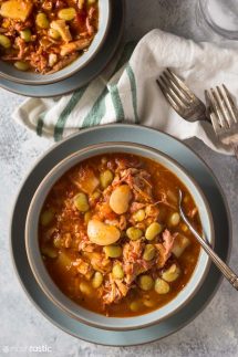 Instant Pot Brunswick Stew