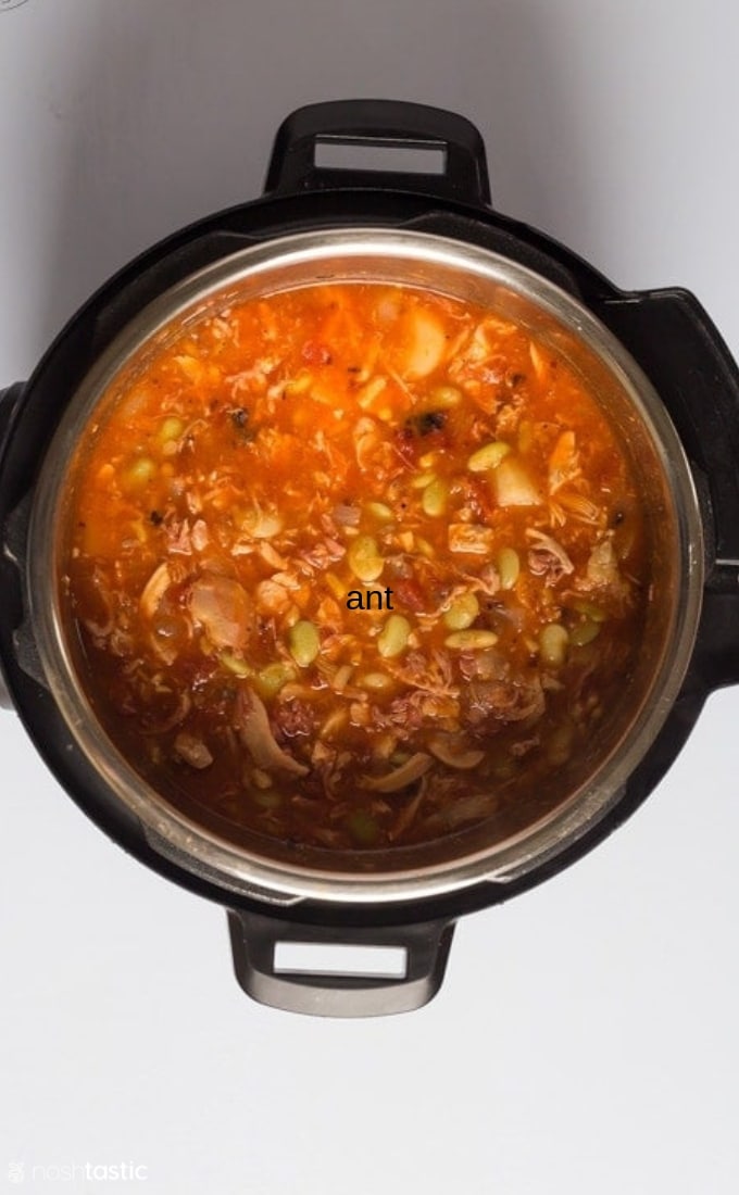 Instant Pot Brunswick Stew