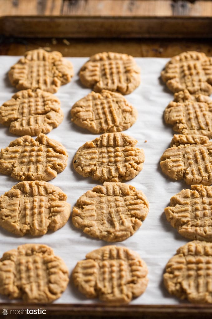 peanut butter cookies on a sheet pan