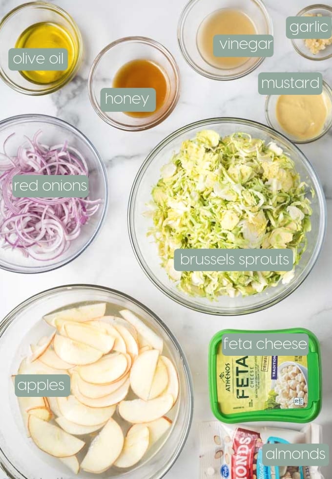 Ingredients needed for shaved brussels sprout salad