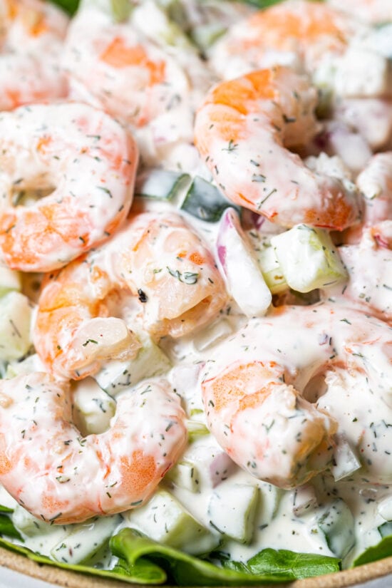 close up shrimp salad